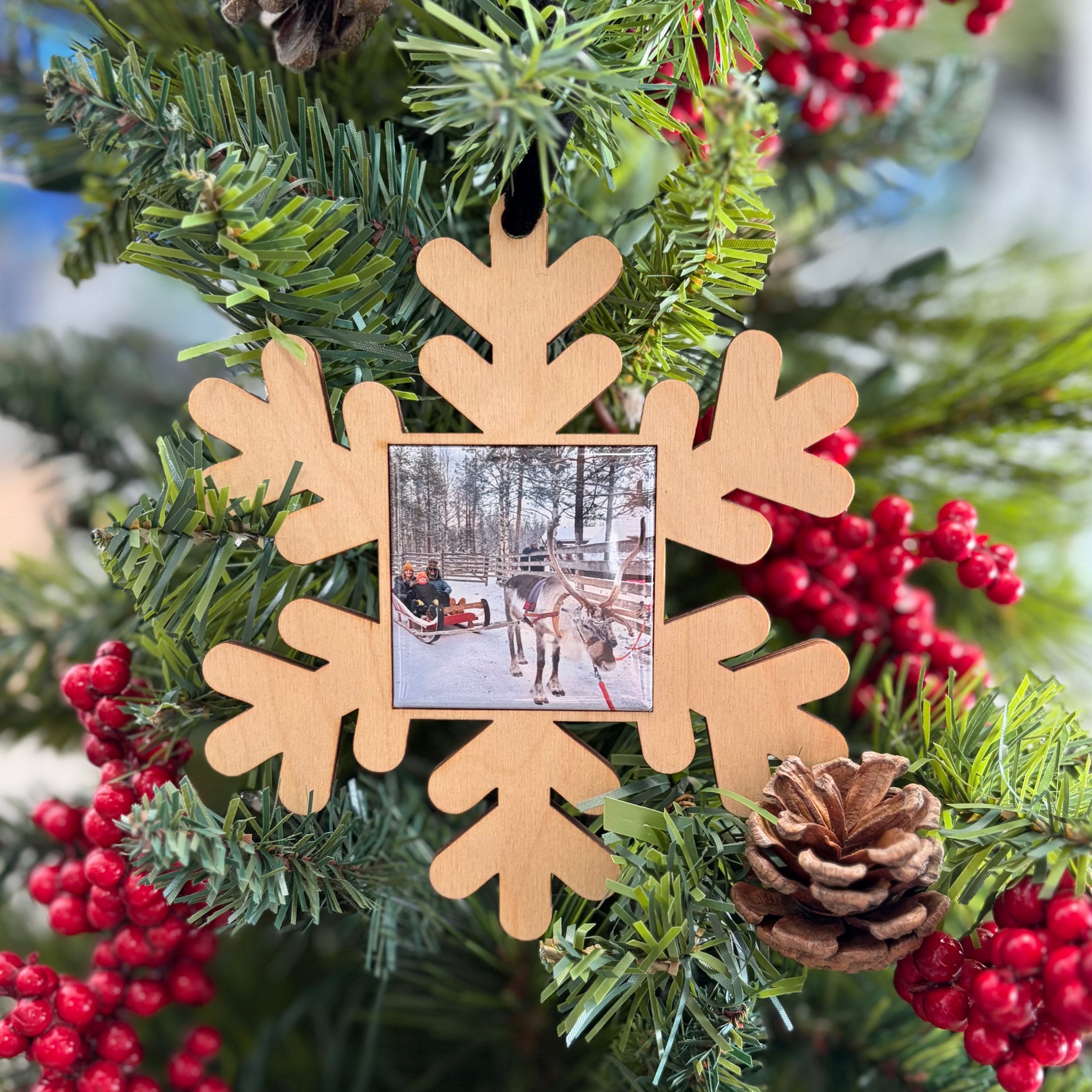 Snowflake Photo Ornament